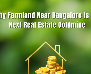 farmland near Bangalore